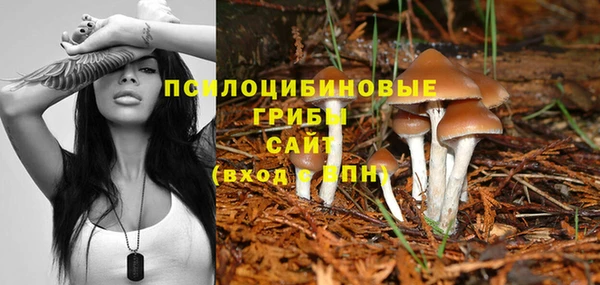 синтетический гашиш Белоозёрский