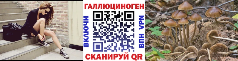 Галлюциногенные грибы мицелий Верещагино