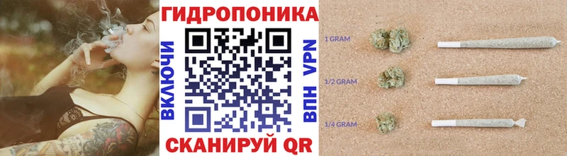 Конопля SATIVA & INDICA  где можно купить   Верещагино 